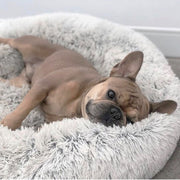 Non-Slip Eco-Friendly Healthy Super Soft Dog Bed Warm Sleeping