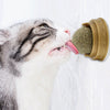 Wall Stick-on Ball Toy Pet Accessory for Cats